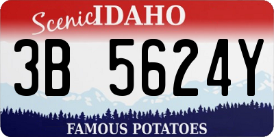 ID license plate 3B5624Y