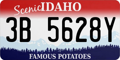 ID license plate 3B5628Y