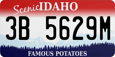 ID license plate 3B5629M