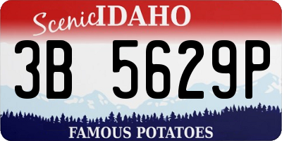 ID license plate 3B5629P