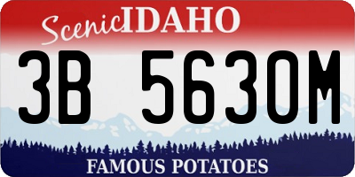 ID license plate 3B5630M