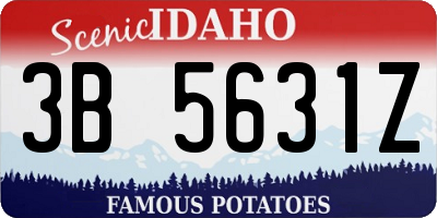 ID license plate 3B5631Z