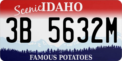 ID license plate 3B5632M