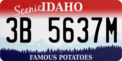 ID license plate 3B5637M