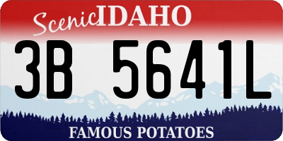 ID license plate 3B5641L