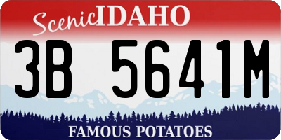 ID license plate 3B5641M