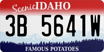 ID license plate 3B5641W