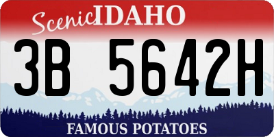 ID license plate 3B5642H