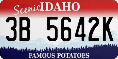 ID license plate 3B5642K