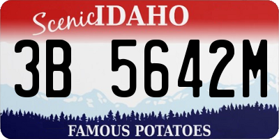 ID license plate 3B5642M