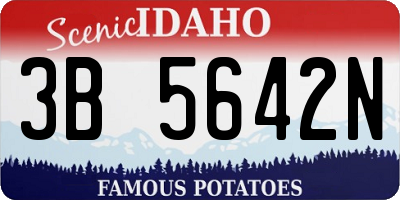 ID license plate 3B5642N