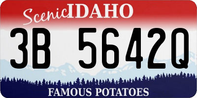 ID license plate 3B5642Q
