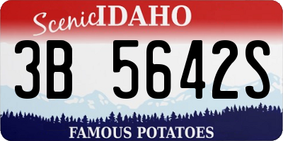 ID license plate 3B5642S