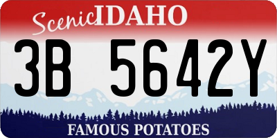 ID license plate 3B5642Y