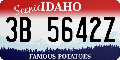 ID license plate 3B5642Z