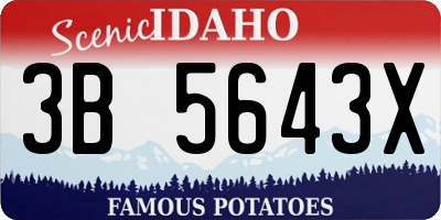 ID license plate 3B5643X