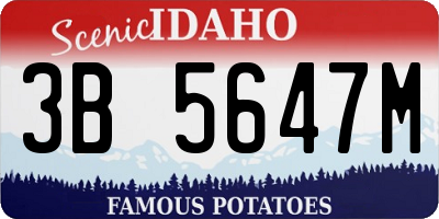 ID license plate 3B5647M