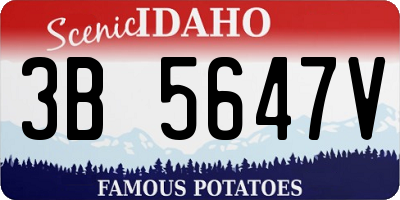 ID license plate 3B5647V