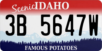 ID license plate 3B5647W
