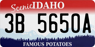 ID license plate 3B5650A