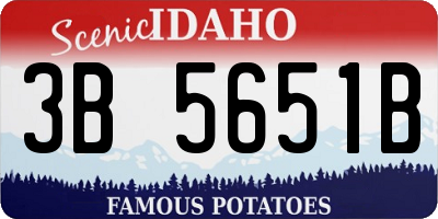 ID license plate 3B5651B