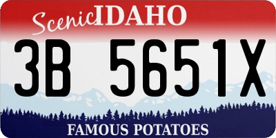 ID license plate 3B5651X