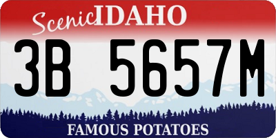 ID license plate 3B5657M