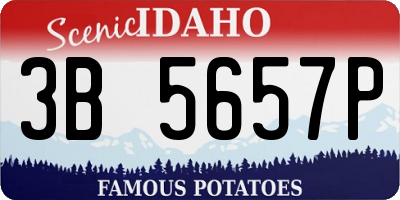 ID license plate 3B5657P