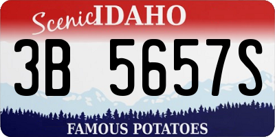 ID license plate 3B5657S