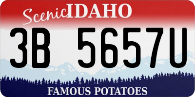 ID license plate 3B5657U