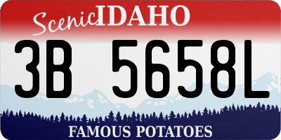 ID license plate 3B5658L