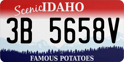 ID license plate 3B5658V