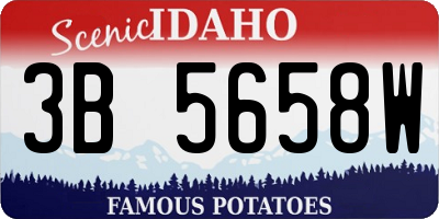 ID license plate 3B5658W