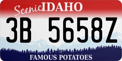 ID license plate 3B5658Z