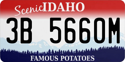 ID license plate 3B5660M