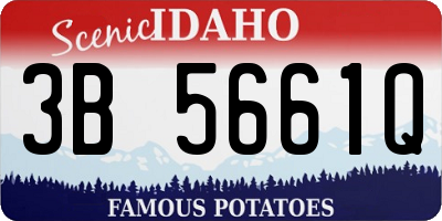 ID license plate 3B5661Q