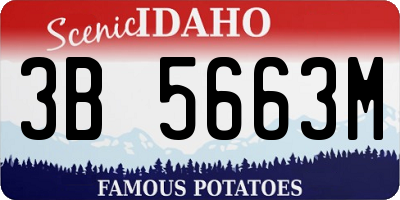 ID license plate 3B5663M