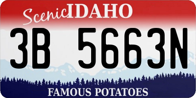 ID license plate 3B5663N