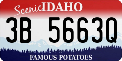ID license plate 3B5663Q