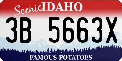 ID license plate 3B5663X