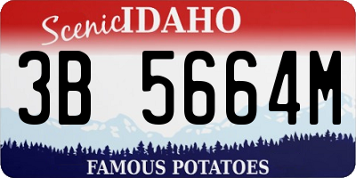 ID license plate 3B5664M