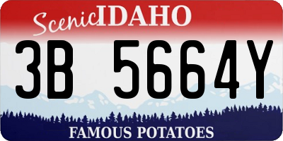ID license plate 3B5664Y
