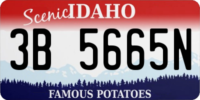 ID license plate 3B5665N