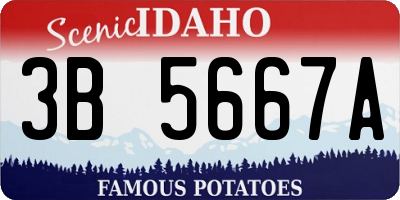 ID license plate 3B5667A