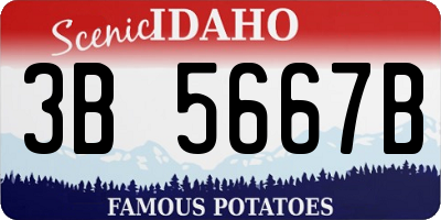 ID license plate 3B5667B