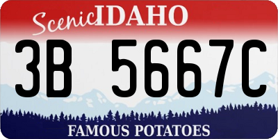 ID license plate 3B5667C