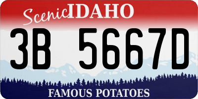 ID license plate 3B5667D