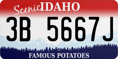 ID license plate 3B5667J