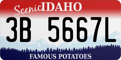 ID license plate 3B5667L