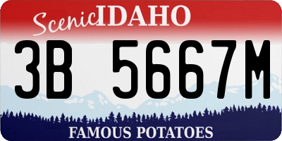 ID license plate 3B5667M